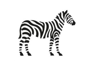 opticienne-cfc-fribourg