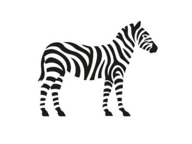 opticienne-cfc-fribourg-big-0